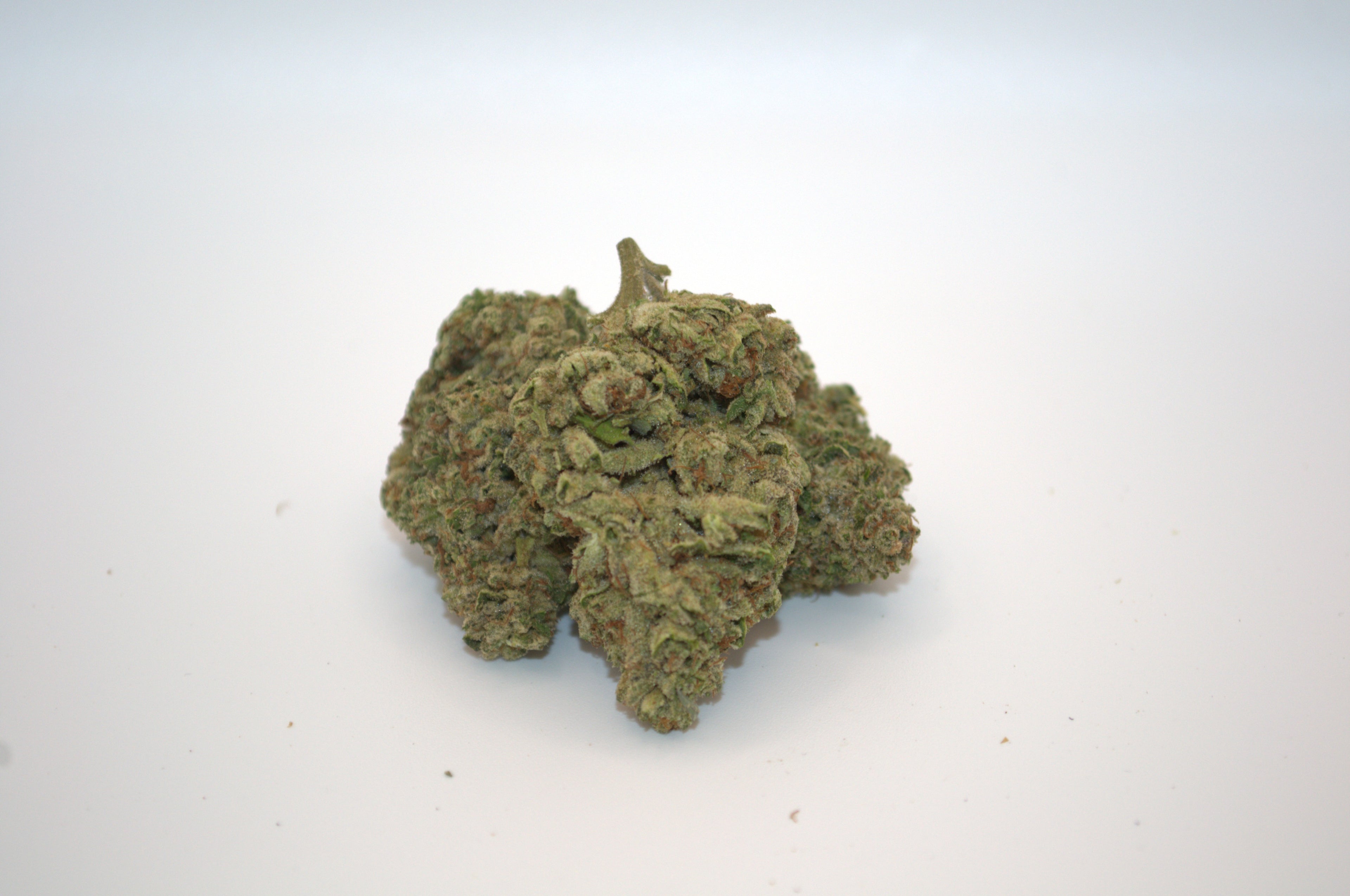 Gorilla Glue #4 (h)